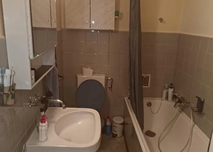 Schoene Mit Grosse Terasse * Vevey